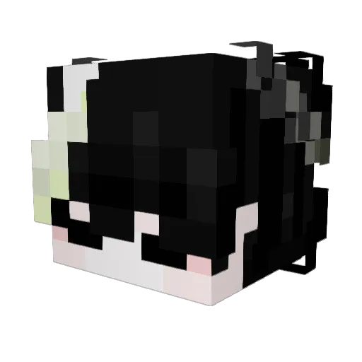 vannno_ Minecraft avatar head, 3D render