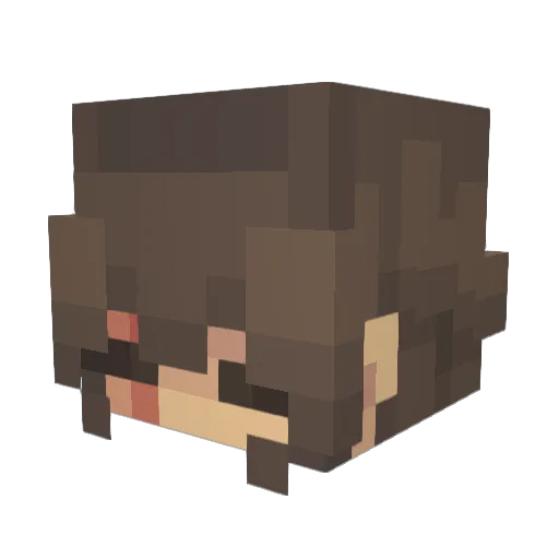 vannyjae Minecraft avatar head, 3D render