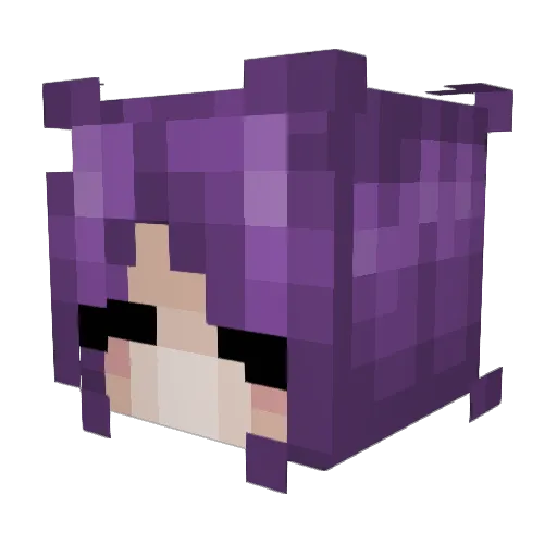 Minecraft-Avatar von vanqilix: Kopf als 3D-Render
