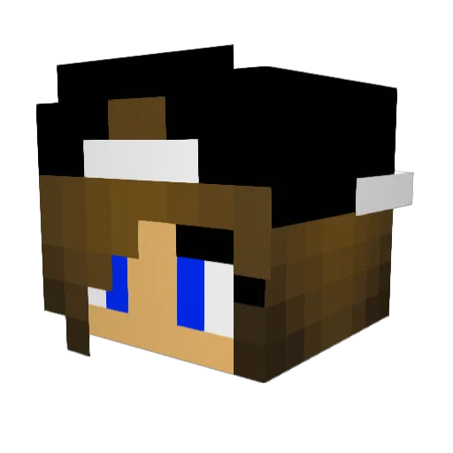 vanrox14 Minecraft avatar head, 3D render