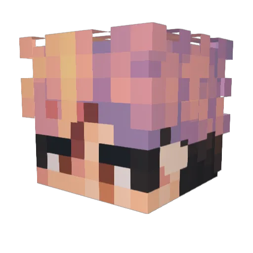 vansandleather Minecraft avatar head, 3D render