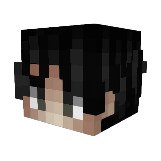 vanspaiva Minecraft avatar head, 3D render