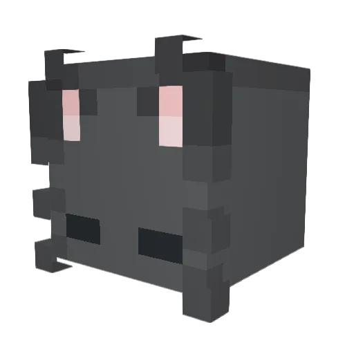 vantablackstar Minecraft avatar head, 3D render