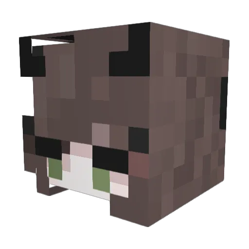 vantablegh Minecraft avatar head, 3D render