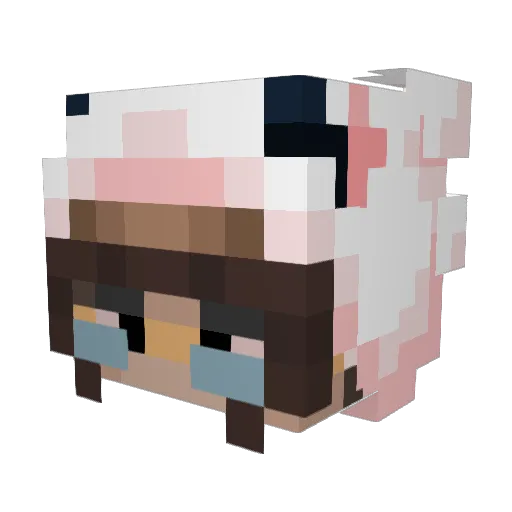 vantenn Minecraft avatar head, 3D render