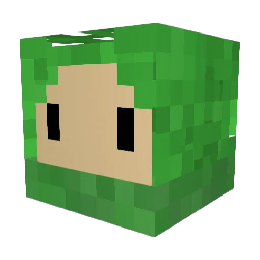 vanthenup Minecraft avatar head, 3D render