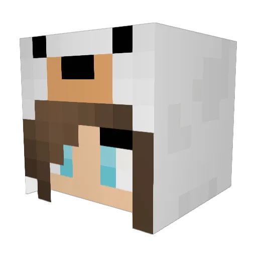 vap0001 Minecraft avatar head, 3D render