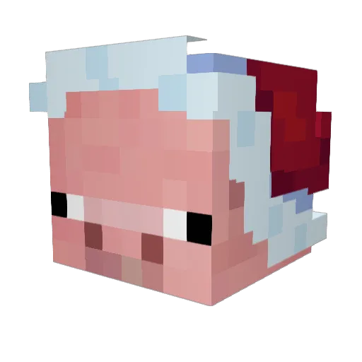 vaponelas Minecraft avatar head, 3D render