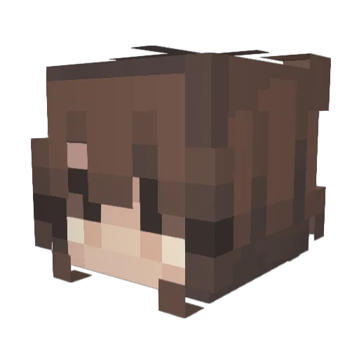 vaquell Minecraft avatar head, 3D render