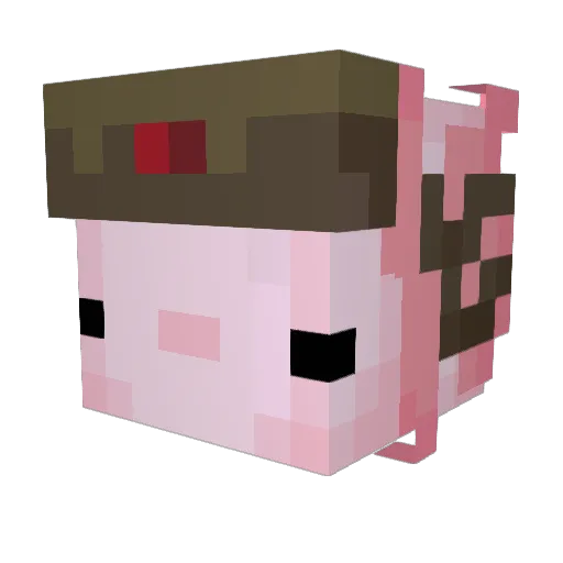 varasl Minecraft avatar head, 3D render