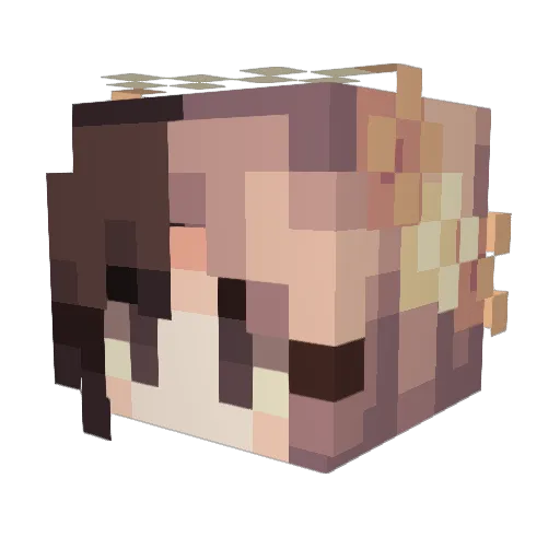 vargelina Minecraft avatar head, 3D render