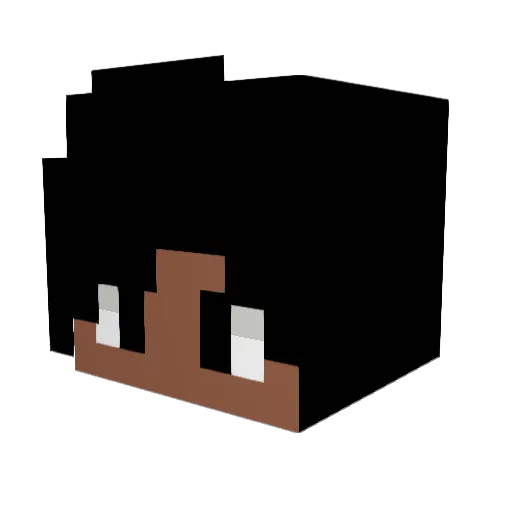 varias_pessoas Minecraft avatar head, 3D render
