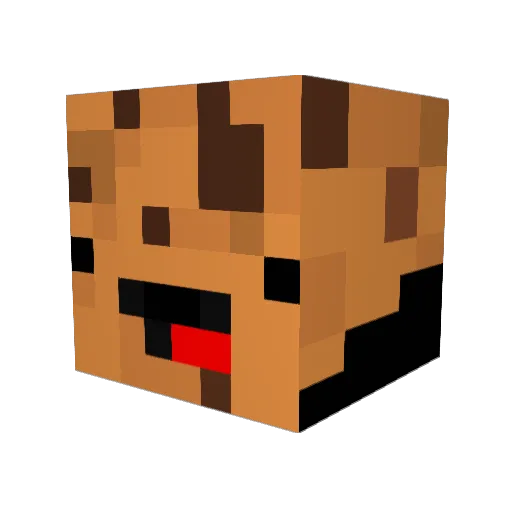 vasa1313 Minecraft avatar head, 3D render