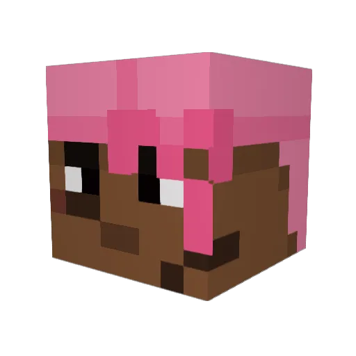 vasens Minecraft avatar head, 3D render