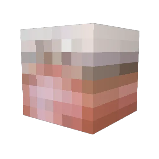 vashd Minecraft avatar head, 3D render