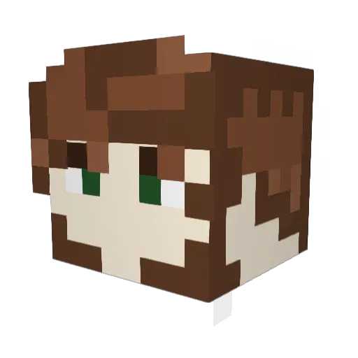 vashsoryu Minecraft avatar head, 3D render