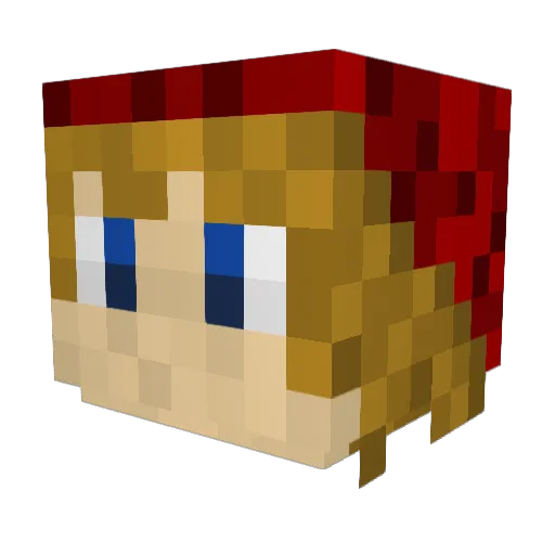 vashthewolf333 Minecraft avatar head, 3D render