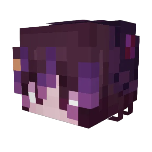 vashtrash Minecraft avatar head, 3D render