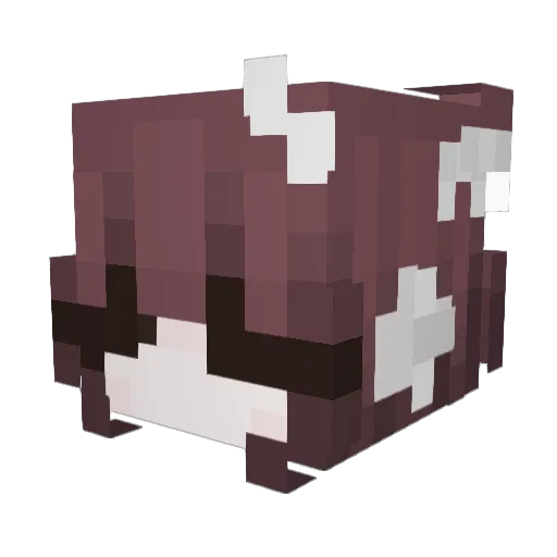 vasiet Minecraft avatar head, 3D render