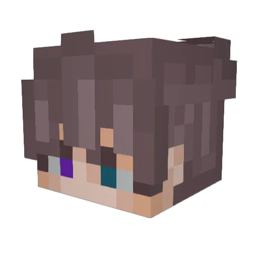 vaskity Minecraft avatar head, 3D render