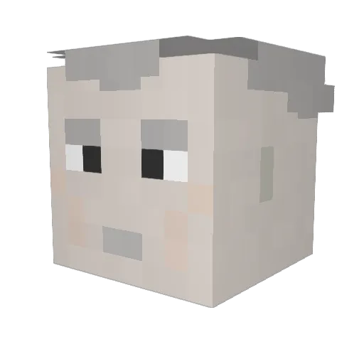 vasky3 Minecraft avatar head, 3D render