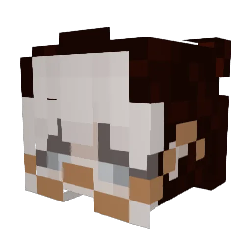 vasmeepic Minecraft avatar head, 3D render
