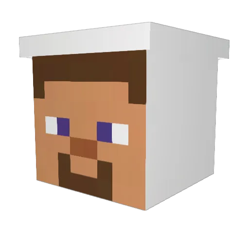 vasmerX Minecraft avatar head, 3D render