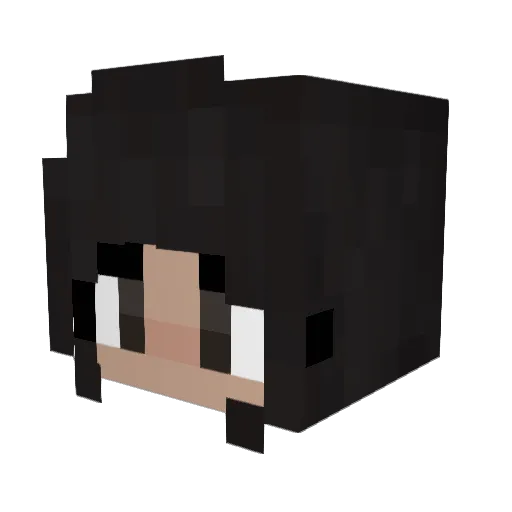vassytender Minecraft avatar head, 3D render