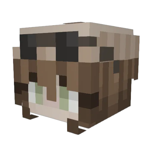 vastrul Minecraft avatar head, 3D render
