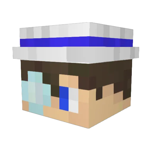 vat1012 Minecraft avatar head, 3D render
