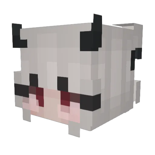 vata_ot_nata Minecraft avatar head, 3D render