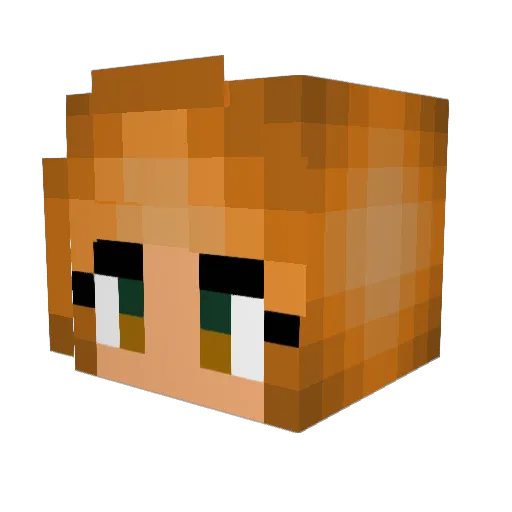 vatamins Minecraft avatar head, 3D render
