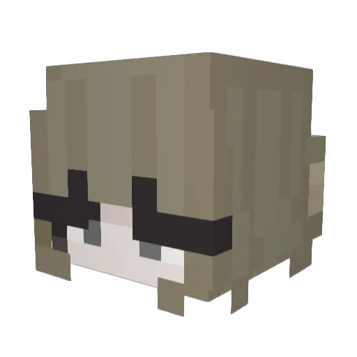 vaultskip Minecraft avatar head, 3D render