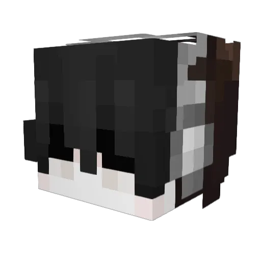 vaunes Minecraft avatar head, 3D render