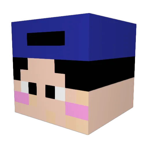 vavard Minecraft avatar head, 3D render