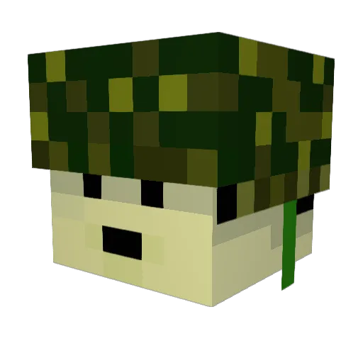 vavo46 Minecraft avatar head, 3D render