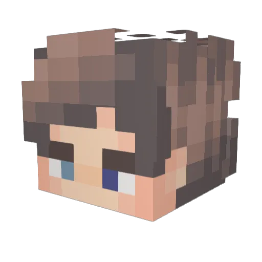 vazee_ Minecraft avatar head, 3D render