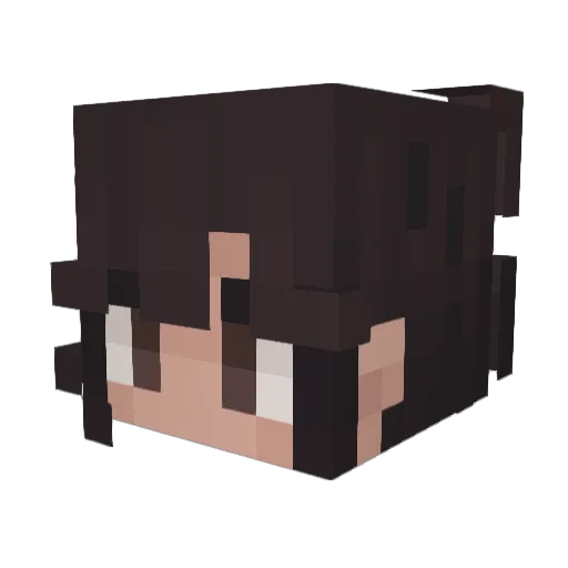 vazers Minecraft avatar head, 3D render