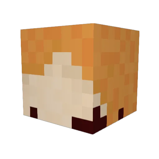 vazo Minecraft avatar head, 3D render