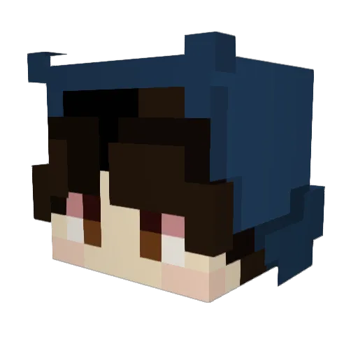 vbbnm Minecraft avatar head, 3D render