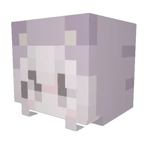 vbcablepanel742 Minecraft avatar head, 3D render