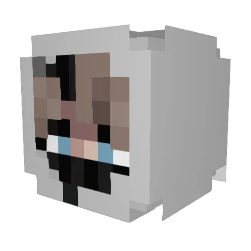 vbica Minecraft avatar head, 3D render