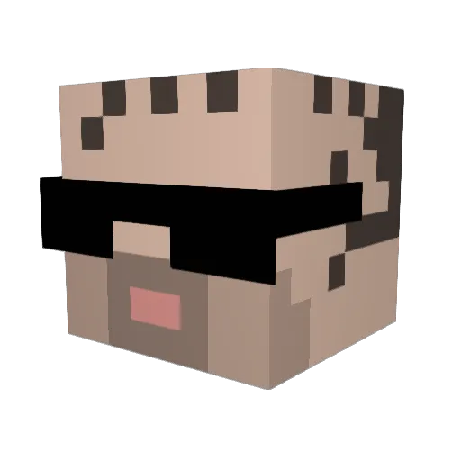 vbkspalack Minecraft avatar head, 3D render