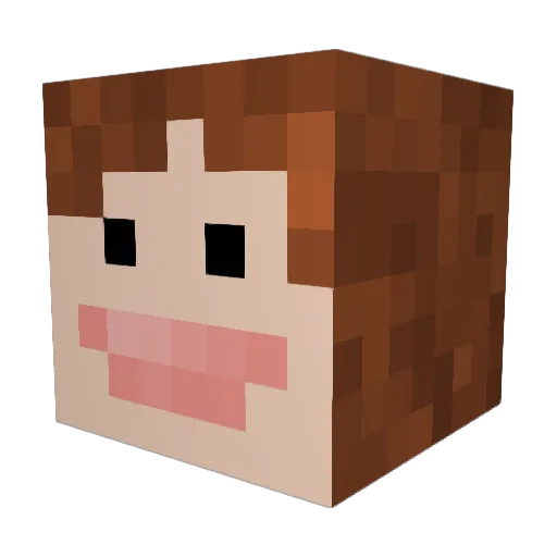 vbrowan Minecraft avatar head, 3D render