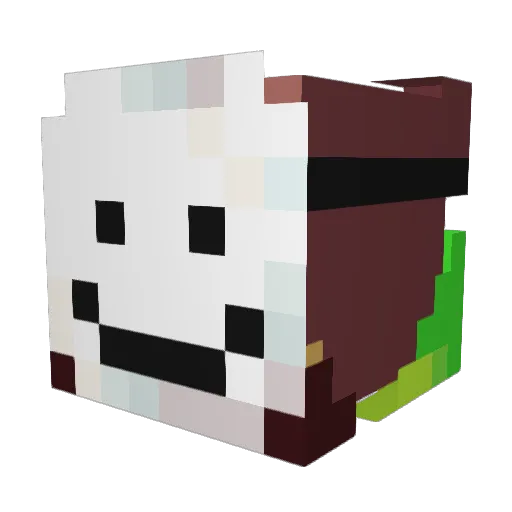 vcamper12 Minecraft avatar head, 3D render