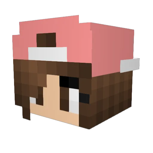 vclove20 Minecraft avatar head, 3D render