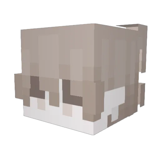 vcmpy Minecraft avatar head, 3D render