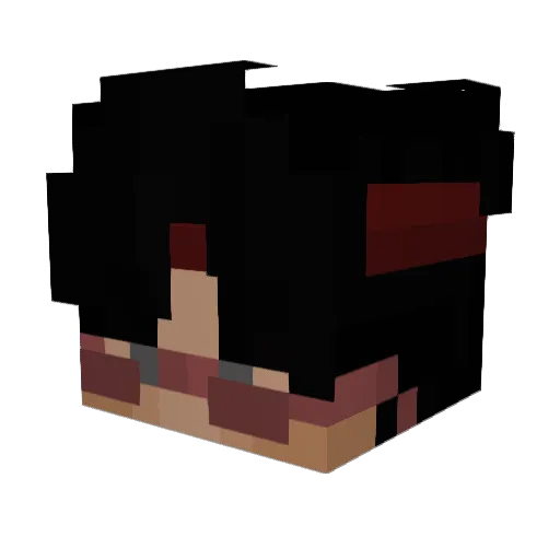 vdls Minecraft avatar head, 3D render