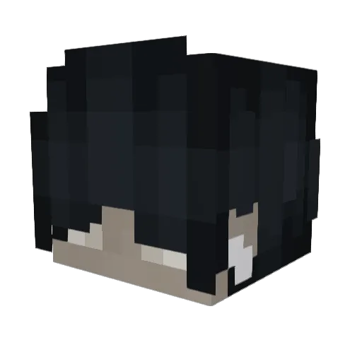 vdrr Minecraft avatar head, 3D render