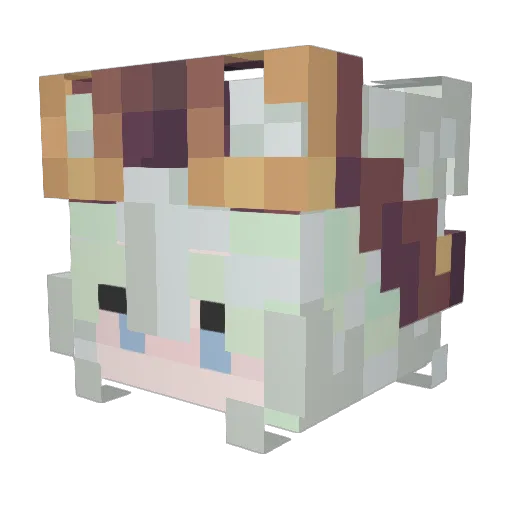 veLs2 Minecraft avatar head, 3D render